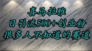 喜马拉雅，小而精的流量赛道，日进500+精准创业粉-风淘社
