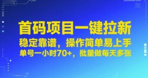 首码项目一键拉新，稳定靠谱，操作简单易上手，单号一小时70+，批量做每天多张【揭秘】-风淘社