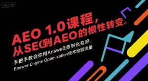 AEO 1.0 课程,从SEO到AE0的基命性转变,手把手教会你用AnswerEngineOptimization技术抢回流量-风淘社