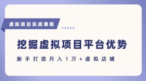 抓住虚拟项目各平台优势,新手轻松月入1W+(给出具体建议)-风淘社