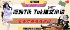 海外tiktok小说推文暴力项目,高停留率,高转化率,上手后一天搞顿饭钱不是问题-风淘社