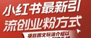 小红书最新引流创业粉方式，项目图文玩法介绍以及如何安全倒流私域-风淘社