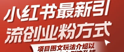 小红书最新引流创业粉方式,项目图文玩法介绍以及如何安全倒流私域-风淘社