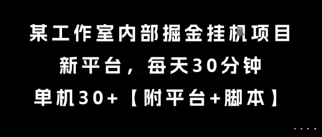 某工作室内部掘金挂G项目,新平台,每天30分钟,单机30+【揭秘】-风淘社