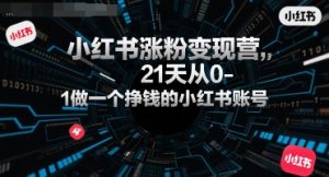 小红书涨粉变现营，21天从0-1做一个挣钱的小红书账号-风淘社