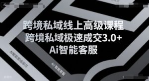 跨境私域线上高级课程,跨境私域极速成交3.0+Ai智能客服-风淘社