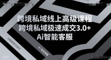 跨境私域线上高级课程,跨境私域极速成交3.0+Ai智能客服-风淘社