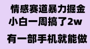 情感暴力掘金项目，新人操作一周挣了2W，长期稳定小白可做【揭秘】-风淘社