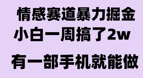 情感暴力掘金项目,新人操作一周挣了2W,长期稳定小白可做【揭秘】-风淘社