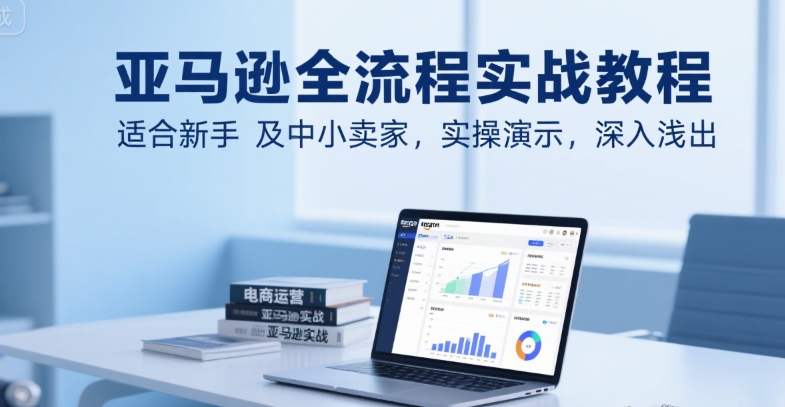 亚马逊全流程实战教程,适合新手及中小卖家,实操演示,深入浅出-风淘社