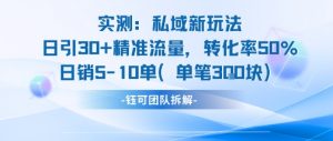 实测私域新玩法日引30加精准流量转化率50%日销5-10单每笔3张-风淘社