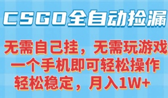 CSGO自动捡漏项目，最新独家玩法，一个手机可操作，新手小白轻松月入1W+，操作简单易上手【揭秘】-风淘社