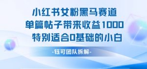 小红书女粉黑马赛道单篇帖子带来收益1k+，特别适合0基础的小白-风淘社