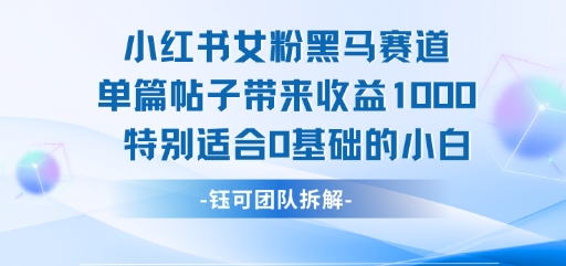 小红书女粉黑马赛道单篇帖子带来收益1k+，特别适合0基础的小白-风淘社