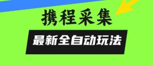 携程信息采集全自动玩法,0风控,无脑开干【揭秘】-风淘社