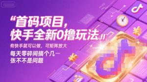首码项目，快手全新0撸玩法，有快手就可以做，可矩阵放大，每天零碎时间搞个几张不是问题【揭秘】-风淘社
