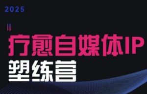 2025治愈自媒体IP训练营,专为疗愈领域从业者打造-风淘社