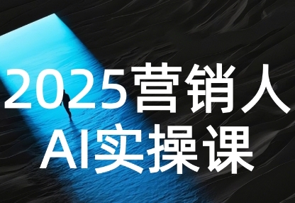 2025营销人Al实操课,AI营销抢跑实战,从Prompt到方案,效率碾压同行-风淘社