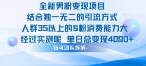 全新男粉变现项目引流人群35以上的男粉消费能力大 经过实测单日变现1k+-风淘社