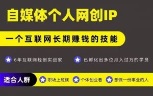 网创类公众号项目，自媒体个人网创IP，强IP强变现，操作一辈子-风淘社
