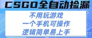 CSGO自动捡漏项目，最新独家玩法，不用挂G不用玩游戏，一个手机即可操作，新手小白轻松月入1W+【揭秘】-风淘社