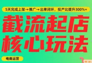 淘宝截流快速起店玩法,掌握暴力快速起店的流程,5天完成上架-推广-出单闭环-风淘社