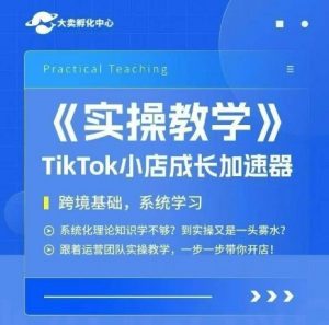 大卖家孵化中心TikTok实操课，TikTok小店成长加速器，跨境基础系统学习，一步一步带你开店-风淘社