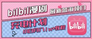 最新蓝海项目,B站充电计划,小白也能月入1w+-风淘社