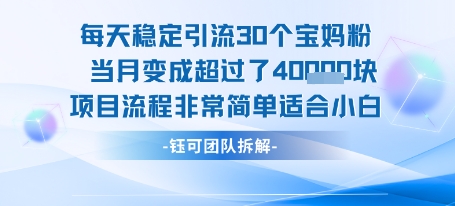 每天稳定引流30个人 当月变成超过了4个W项目流程非常简单适合小白-风淘社