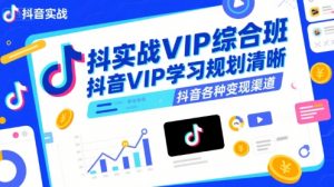 抖音实战VIP综合班,抖音VIP学习规划请晰抖音各种变现渠道-风淘社