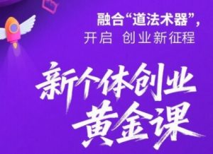 新个体创业黄金课:道法术器四维抢占2025红利-风淘社