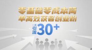 零基础零成本简单高效获客创业粉，一天引流30+-风淘社