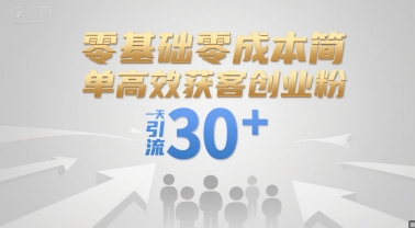 零基础零成本简单高效获客创业粉，一天引流30+-风淘社