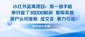 小红书蓝海项目，一部手机单月做了3W利润，小白也能月入过1W用户认可度高成交多-风淘社