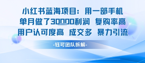 小红书蓝海项目,一部手机单月做了3W利润,小白也能月入过1W用户认可度高成交多-风淘社