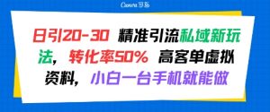 日引 20-30 精准引流私域新玩法,转化率50% 高客单虚拟资料,小白一台手机就能做-风淘社