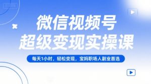 微信视频号超级变现实操课,每天1小时,轻松变现,宝妈职场人副业首选-风淘社