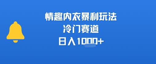 情趣内衣暴利玩法,冷门赛道,日入1k+-风淘社