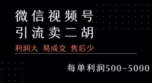 视频号卖二胡教程,利润大 易成交 售后少,一单利润5张+-风淘社