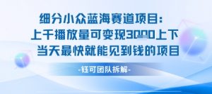 小众蓝海赛道项目:当天变现1k+适合新手操作 +适合长期玩-风淘社