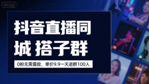 抖音直播同城搭子群，0粉无需露脸，单价19.9，一天进群100人-风淘社