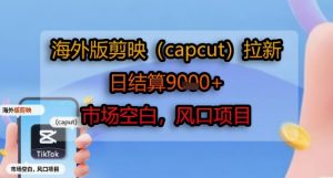 海外版剪映(capcut)拉新，日结算1k+，市场空白，风口项目-风淘社