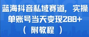 蓝海抖音私域赛道，实操单账号当天变现288+(附教程)-风淘社