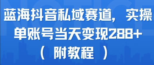 蓝海抖音私域赛道，实操单账号当天变现288+(附教程)-风淘社