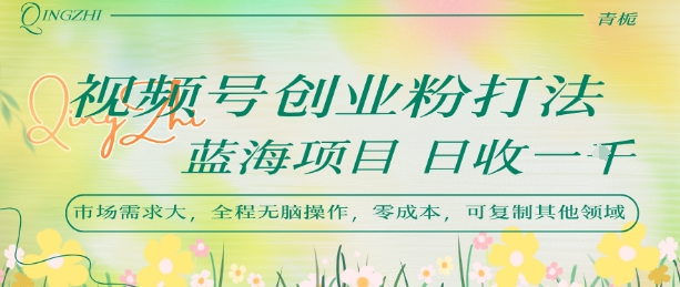 视频号创业粉打法，日入1k，蓝海项目，市场需求大，全程无脑操作，可复制-风淘社