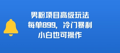男粉项目高级玩法，每单899，冷门暴利，小白也可操作-风淘社