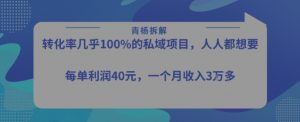 转化率最高的私域项目，每单利润40-50米，月入过1w-风淘社