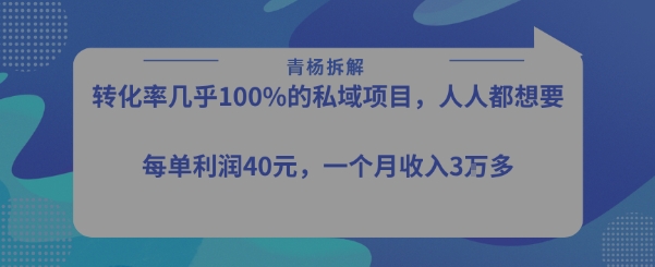 转化率最高的私域项目，每单利润40-50米，月入过1w-风淘社