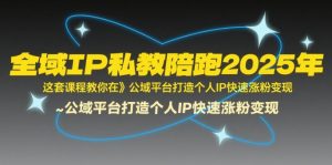 全域IP私教陪跑2025年，这套课程教你在​公域平台打造个人IP快速涨粉变现-风淘社