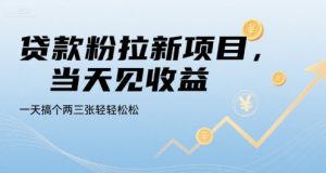 贷款粉拉新项目,当天见收益,一天搞个两三张轻轻松松【揭秘】-风淘社